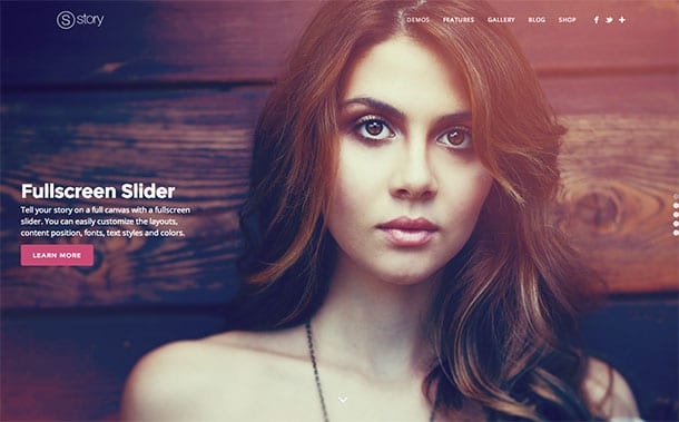 Story-WordPress-Theme