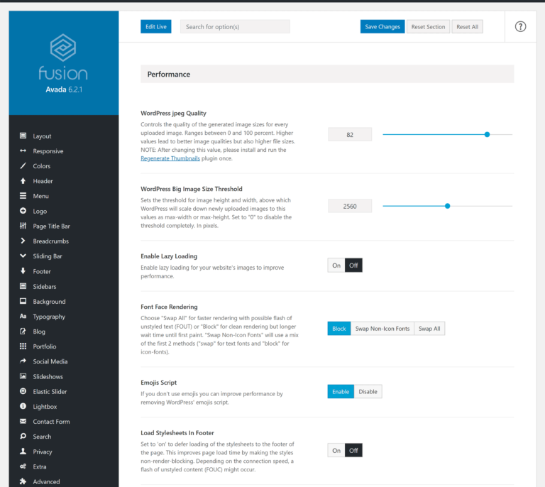 Performance Options in Avada