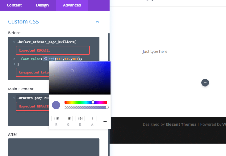 Divi CSS options