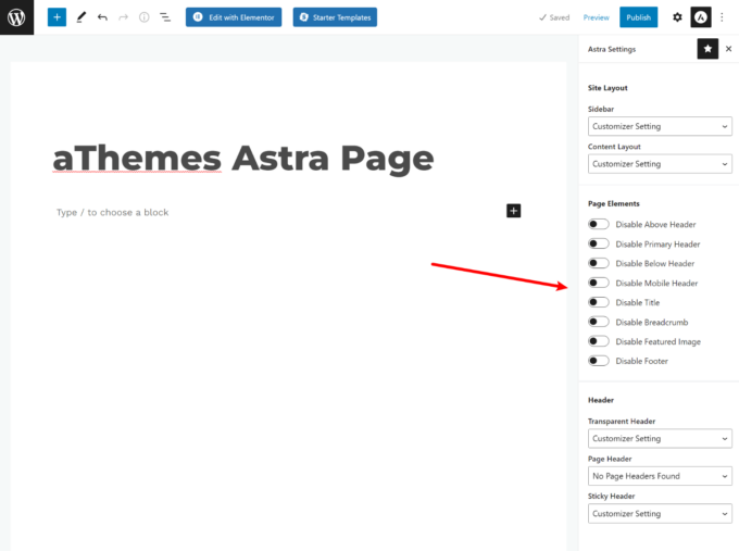 Astra page-level controls